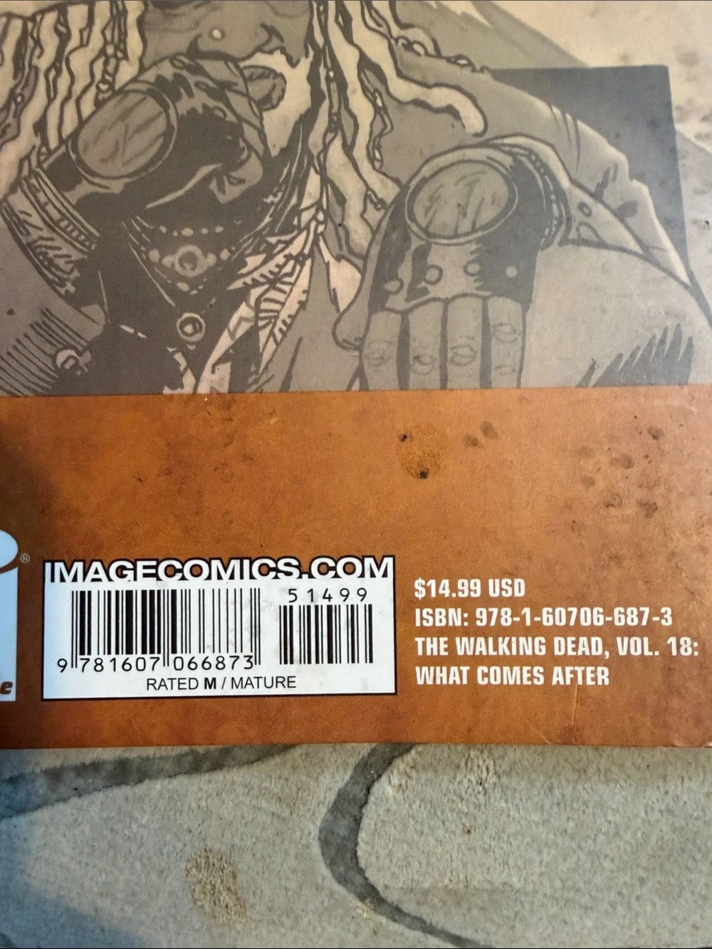 Volume 18: What Comes After - Orange/Black Cover